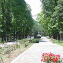 Санаторій Одесса - аллея в парке