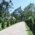 Санаторій Одесса - аллея в парке